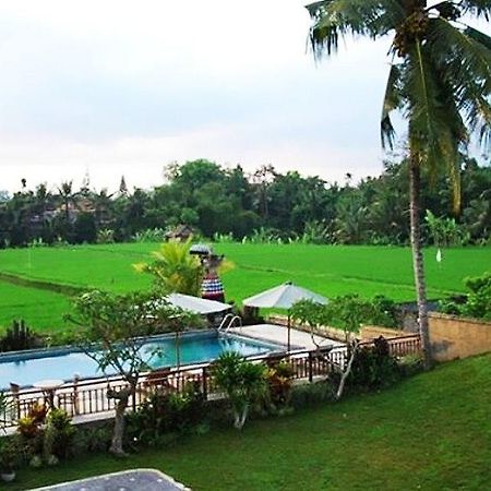 Nyoman Karsa Bungalow Ubud Extérieur photo