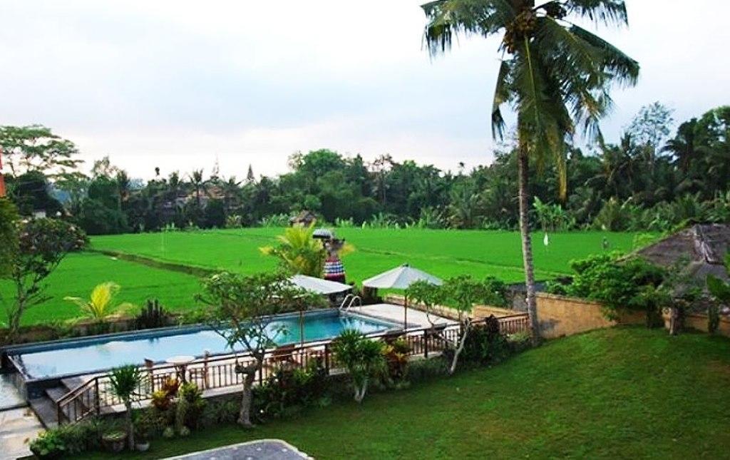 Nyoman Karsa Bungalow Ubud Extérieur photo